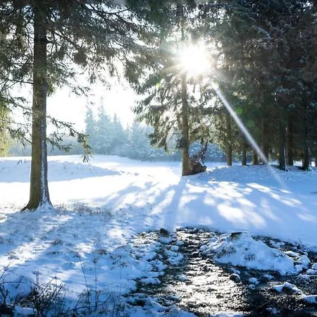 Apartment Rhoenerluft